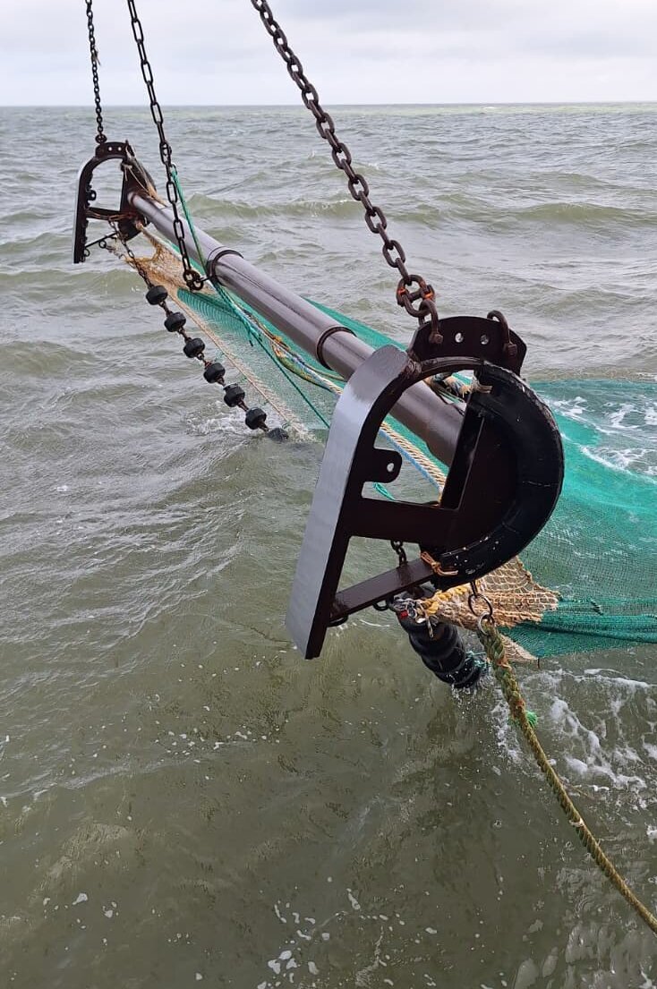 Eine Baumkurre über der Meeresoberfläche