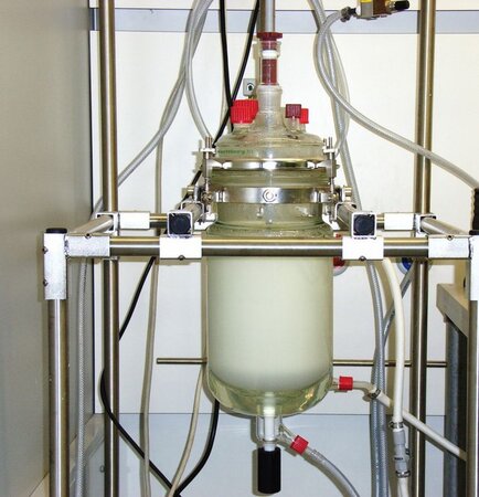 Glass reactor (up to 500 g) for preparation of deposition-precipitation and wet impregnation catalysts