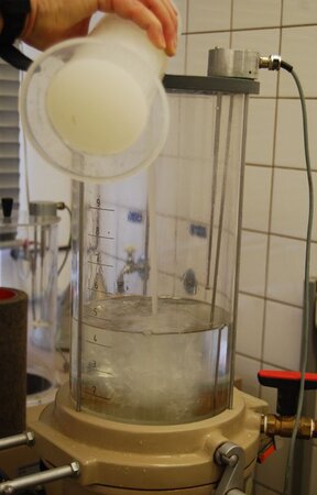 Vorbereitung zur Blattbildung Ausschnitt