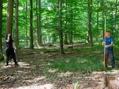 Zwei Personen stehen mit Maßband und anderen Messgeräten im Wald zwischen den Bäumen
