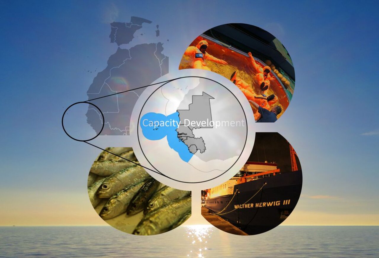 Capacity Development in Nordwest Afrika