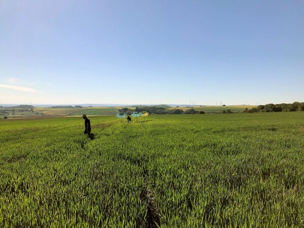 Bodenprobennahme in Agrarlandschaft