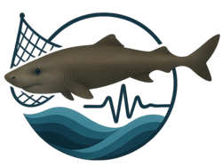 Tot oder lebendig? Beifang des ältesten Wirbeltiers der Welt