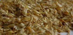 Agricultural residue: chaff