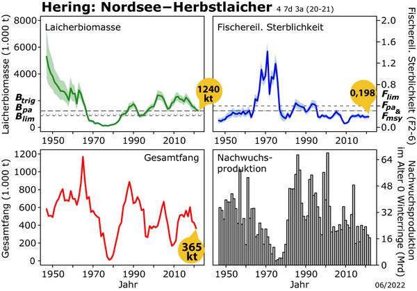 Grafik der Laicherbiomasse, Gesamtfang und andere Parameter des Nordsee-Herings
