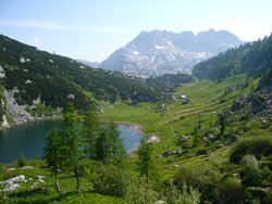 Ex-ante-Bewertung GAP-Strategieplan Österreich