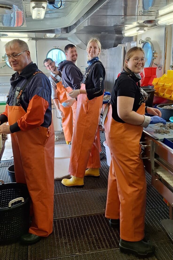 Fünf Personen in orangefarbenen Hosen sortieren den Fang.