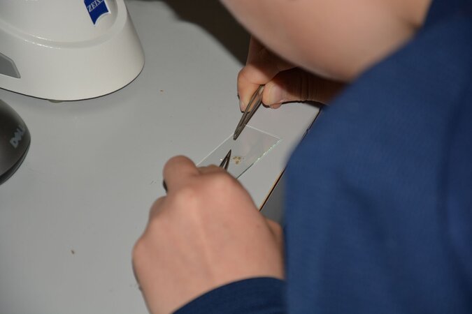 Klicken für eine Vergrösserung