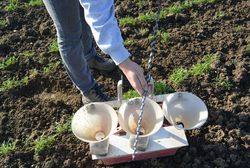 Economic assessment of nitrogene fertilization strategies in open field vegetable production
