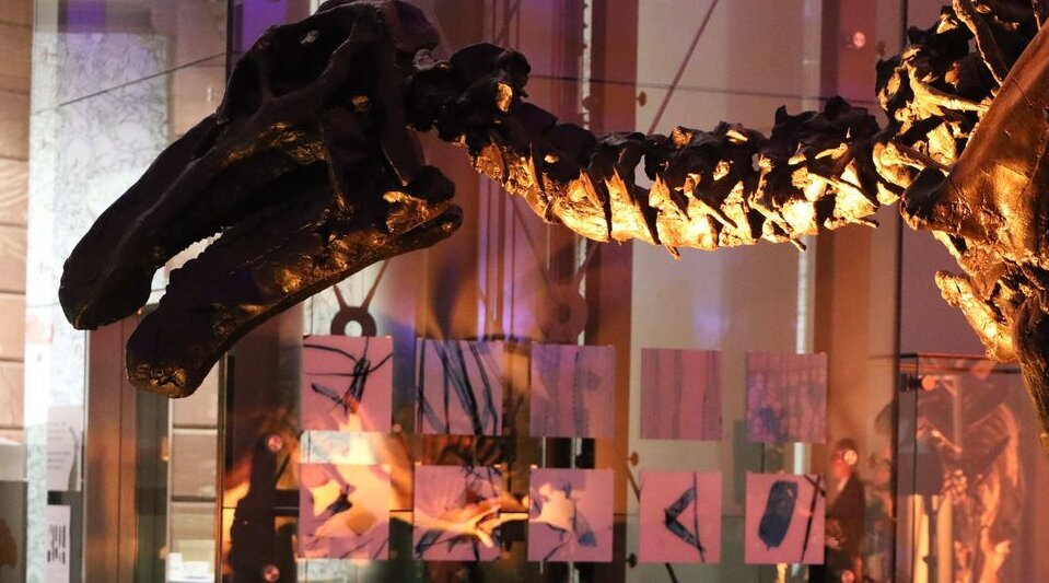 Holzzellen unter Dinosauriern