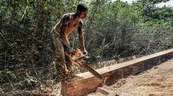 Menschenwürdige Arbeit im Forstsektor
