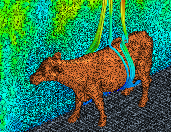 Temperaturfeld und Auftriebsströmung um eine Kuh