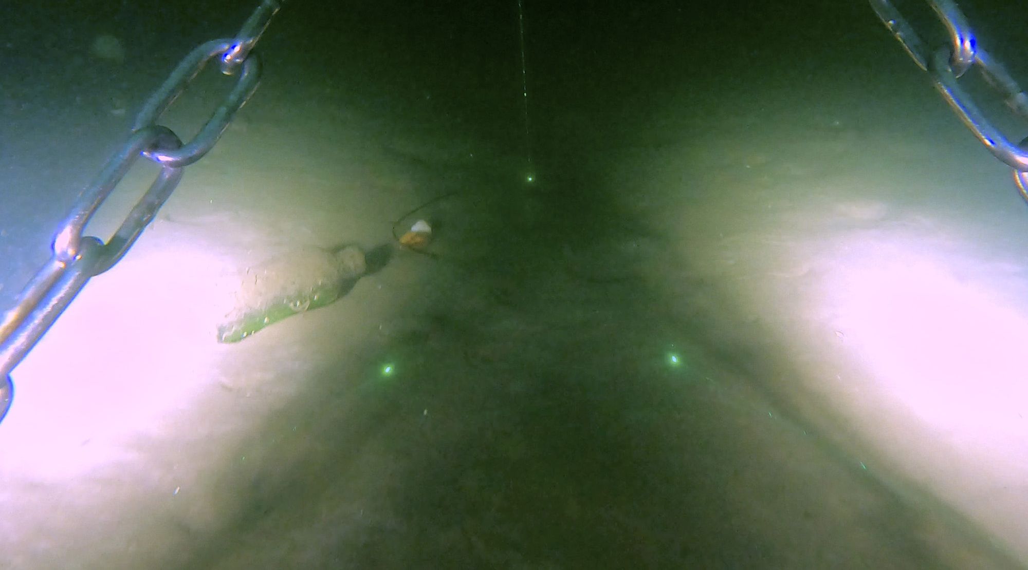 Aufnahme des Meeresbodens mit einem Videoschlitten.