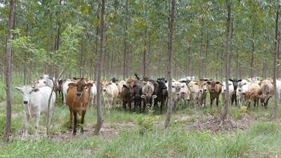 [Translate to English:] 