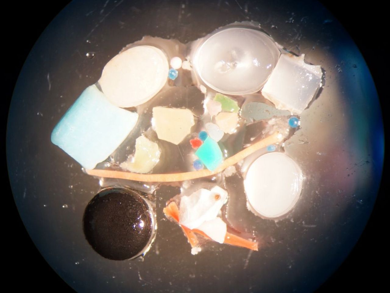 Various microplastic particles under the microscope