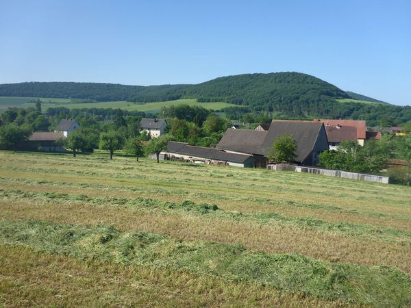 Hay meadow in the Spessart