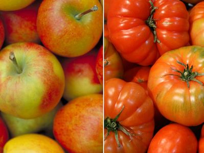 Ein zweigeteiltes Bild: links Äpfel und rechts Tomaten