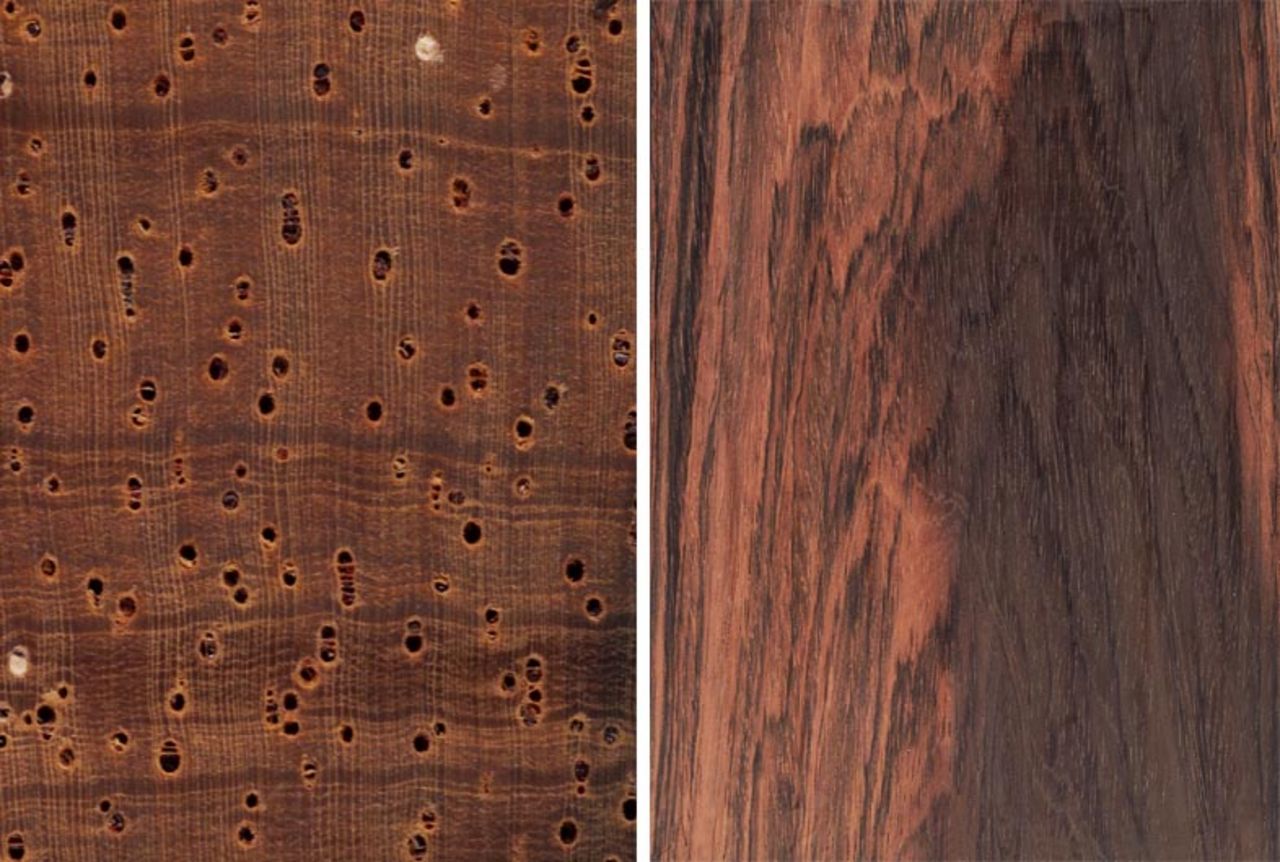 Struktur und Farbe der streng geschützten Holzart Rio Palisander