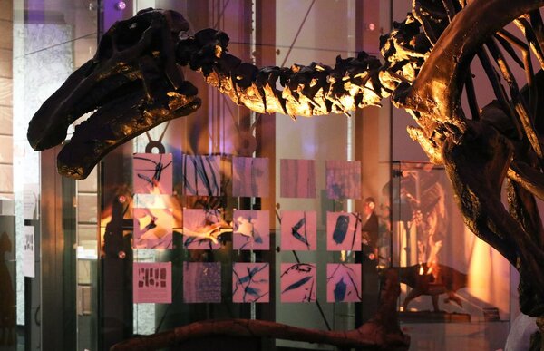 In guter Gesellschaft mit Saurierskeletten: Die Mikroskopaufnahmen des Thünen-Instituts