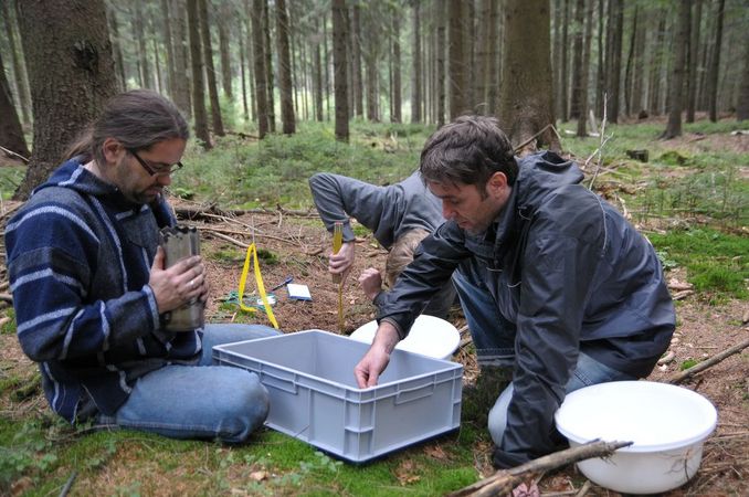 Taking samples of soil in the forest