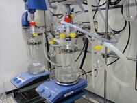 Glasreaktoren (250 mL)