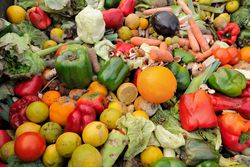 Collaboration Initiative Food Loss and Waste