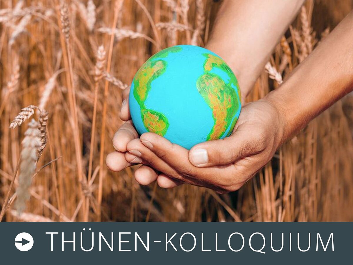 Thünen Von den Daten zur Politikberatung Wie wirken internationale