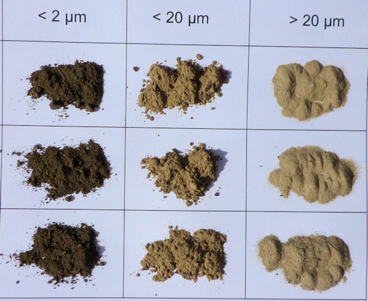 Welche Bodenpartikel Größenfraktionen (Ton: < 2 µm; Feinschluff: < 20 µm; Grobschluff und Sand: > 20 µm) werden von Bakterien aus Abwässern bevorzugt besiedelt?