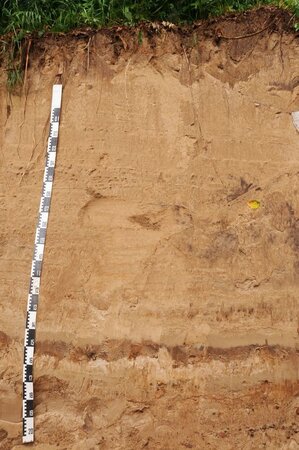 Soil profile
