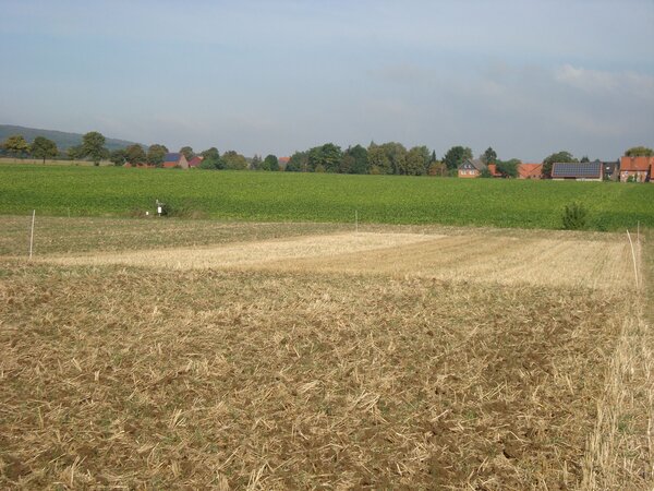 Untersuchungsflächen auf einem Acker in einer Agrarlandschaft