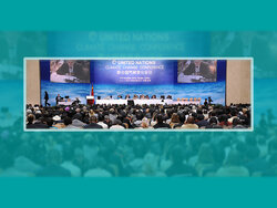 Wald in den Klimaverhandlungen - Forschen fürs Verhandeln 2.0