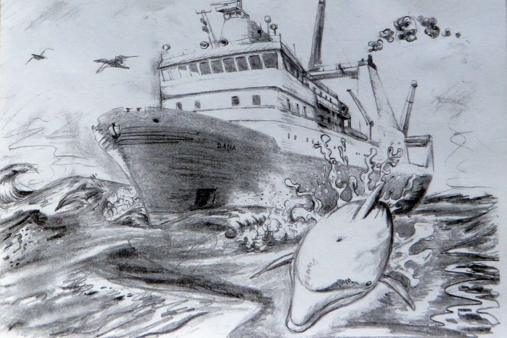 Eine Zeichnung der Dana mit einem Delfin im Vordergrund.