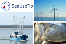 Kipppunkte im sozio-ökologischen System der Nordsee (SeaUseTip) - Hauptphase