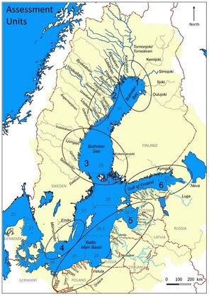 Karte der Ostsee mit den sechs Bestandseinheiten für den Ostseelachs