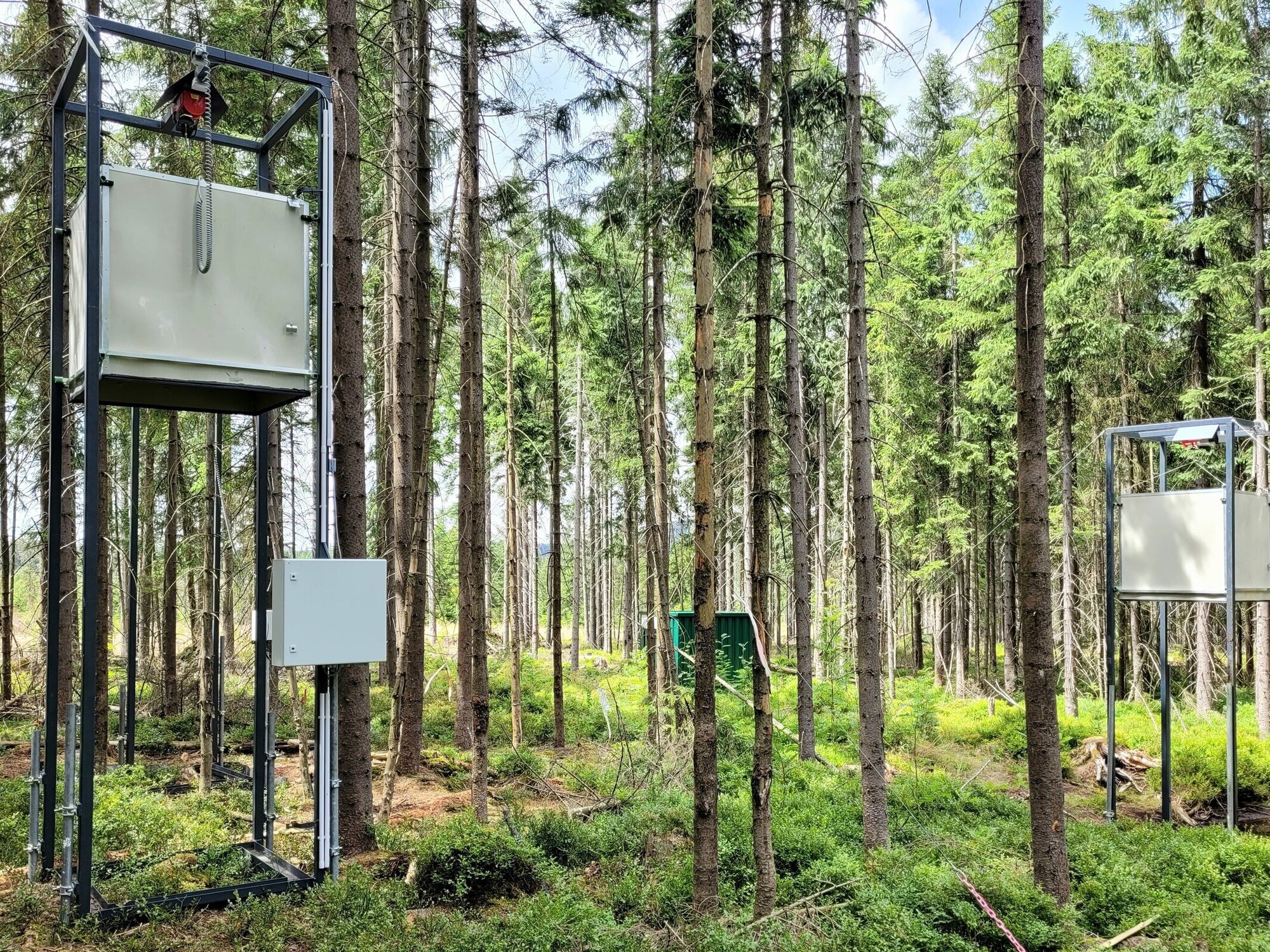 Die Haubenmess-Stationen dokumentieren automatisch, wie viele Treibhausgase freigesetzt werden. Zwischen den Bäumen hängen Metallhauben auf Gestellen.