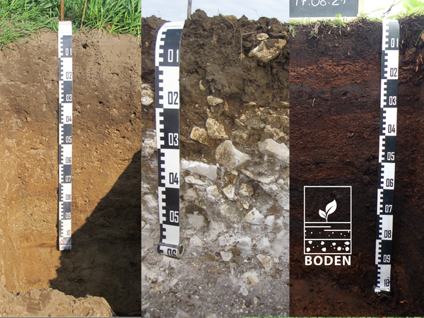 Three different floor profiles next to each other.