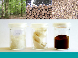 Lignocellulose-Bioraffinerie II