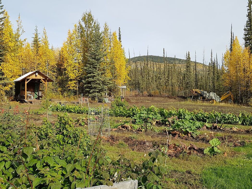Gartenbau auf ehemaligen Permafrostböden
