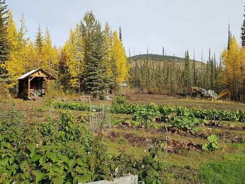 Horticulture on former permafrost soils