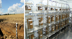 Soil organic matter balance