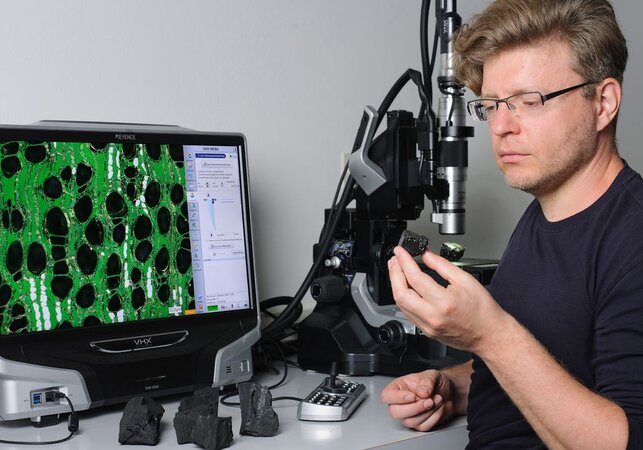 Sergej Kaschuro, Mitarbeiter im Thünen-Kompetenzzentrum Holzherkünfte, beim Untersuchen einer Holzkohlenprobe