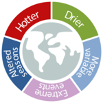 Klimaanpassungsstrategien in Diagrammform dargestellt
