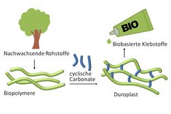 Vom Molekül zum Material - biobasierte Klebstoffe