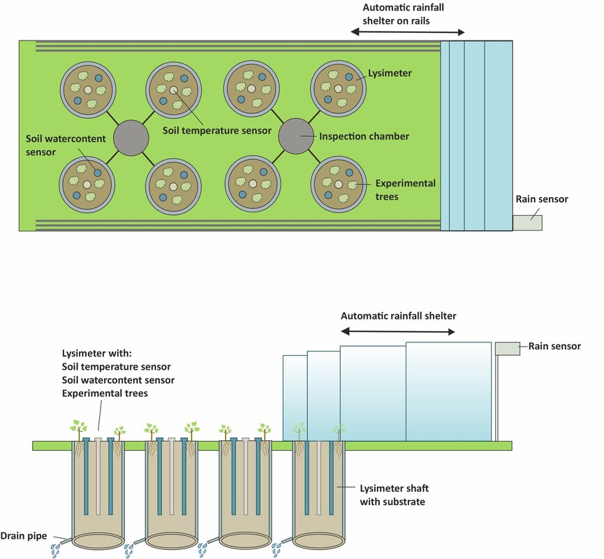 Principle sketch of the “Drylab” open-air laboratory (© Thunen-Institut / Marieanna Holzhausen)