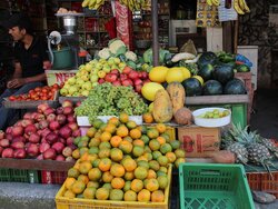 Gesunde und nachhaltige Ernährung fördern