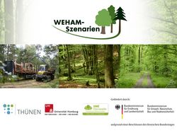 WEHAM-Subproject 2: Development of WEHAM scenarios