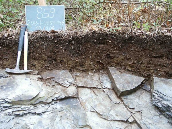 Brown earth hillside soil from Rhineland-Palatinate