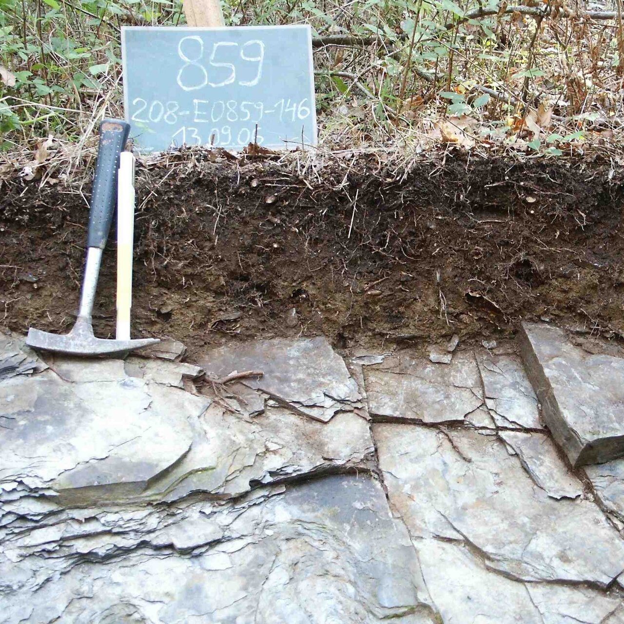 Braunerde-Ranker aus Rheinland-Pfalz