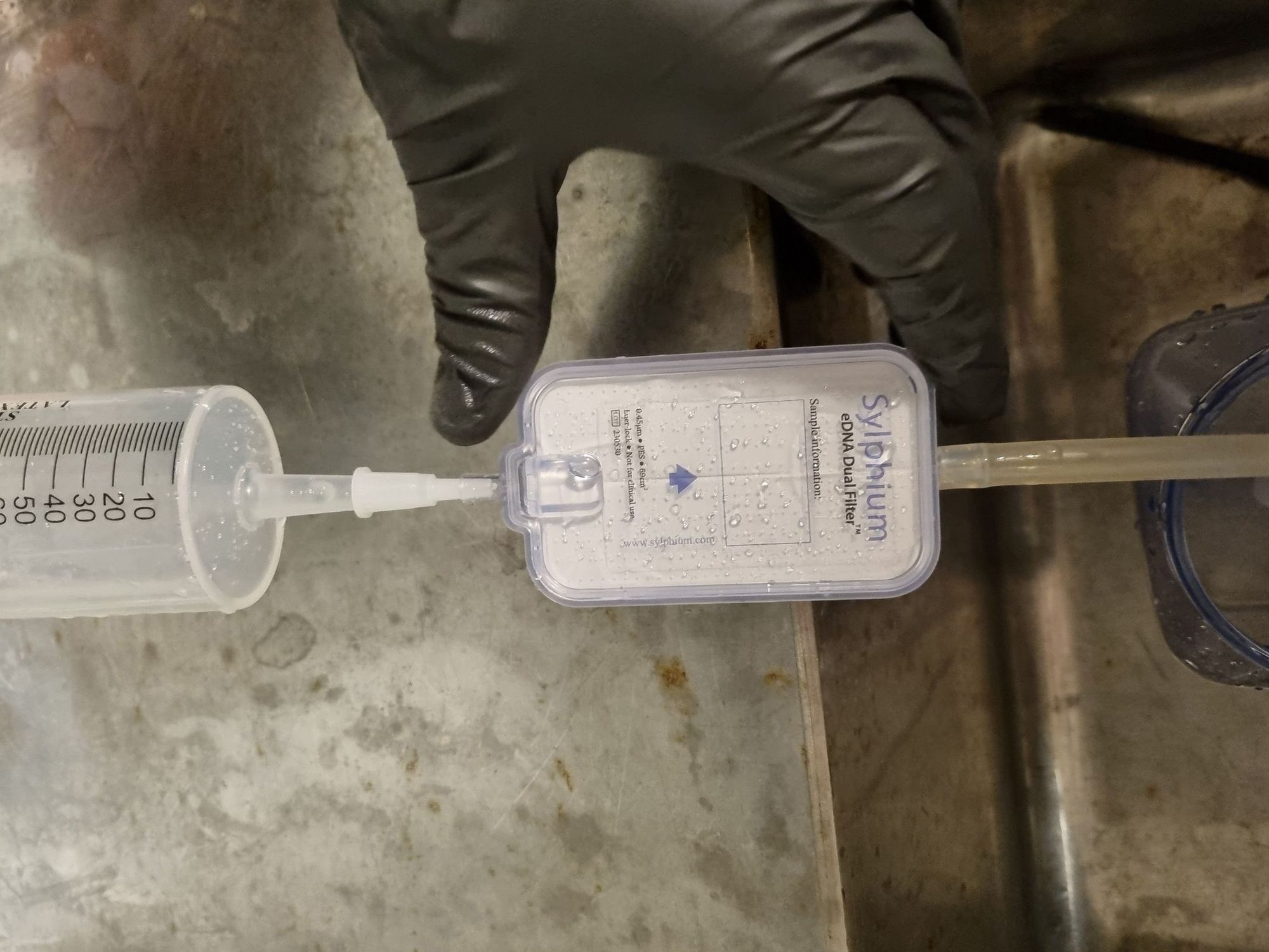Die Wasserprobe wird filtriert und die Umwelt-DNA im Filter gesammelt.