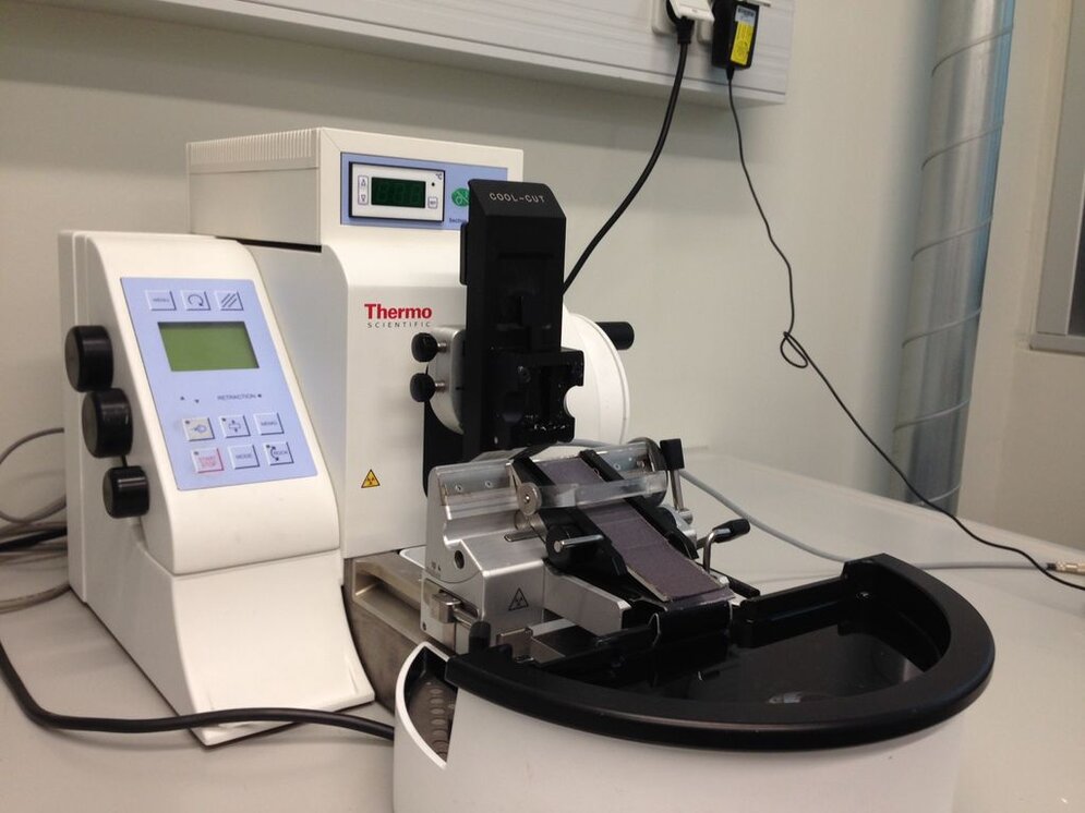 Automated rotary microtome
